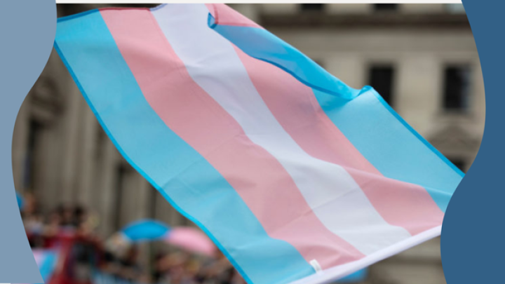 Com apoio do MPC-MG, Tribunal de Contas aprova reserva de vagas para pessoas trans em seus concursos